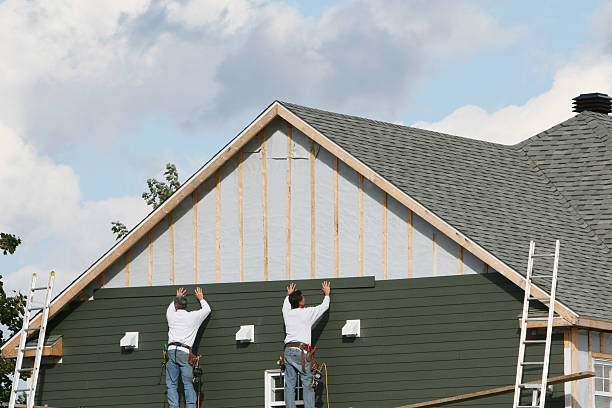 Best Stone Veneer Siding  in Iowa Falls, IA